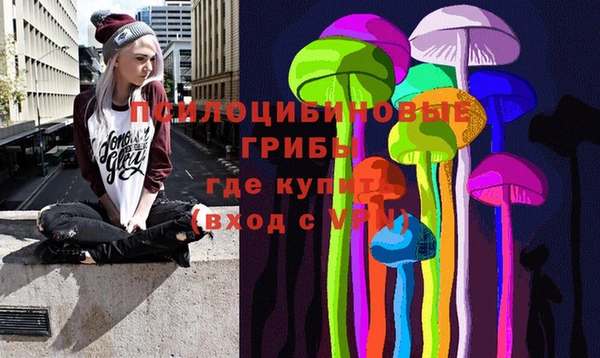 гашик Алзамай