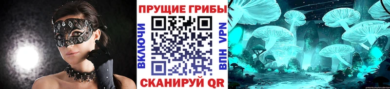 Псилоцибиновые грибы Cubensis  Белоусово 